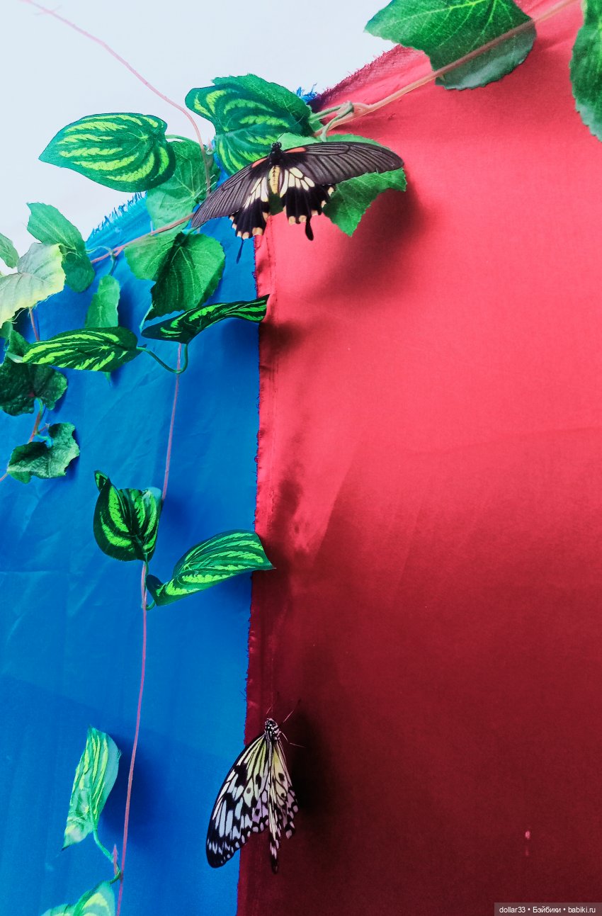 Как Фоксик ходил в гости к бабочкам