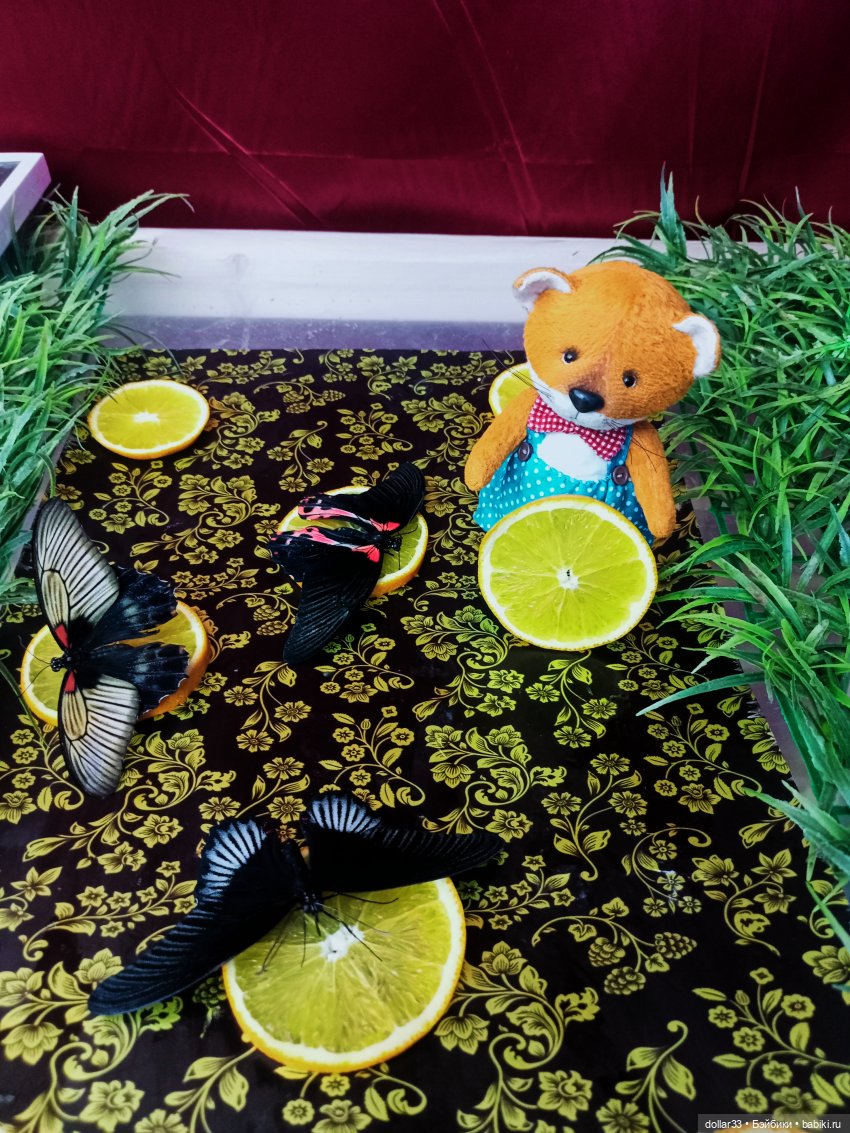 Как Фоксик ходил в гости к бабочкам (фото 10)