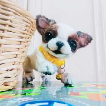 А, кто это у нас тут, такой хорошенький