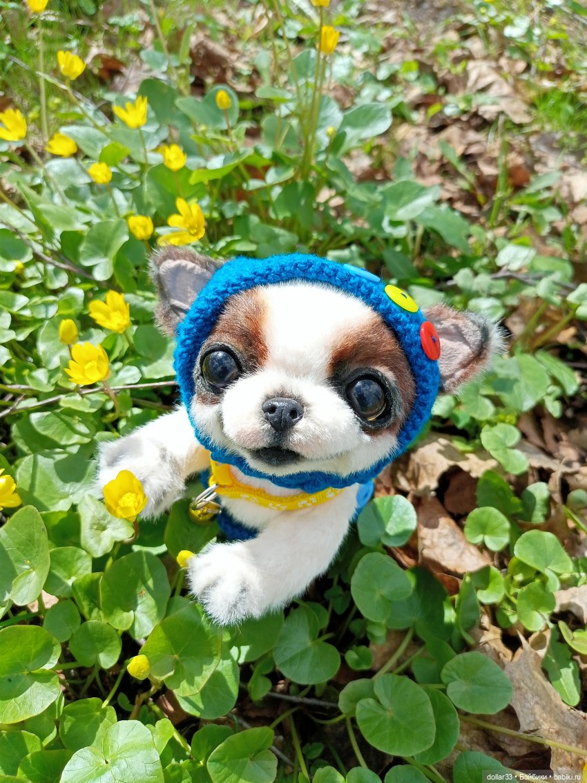 Малыш. Первая прогулка — Домашние фото авторских игрушек: Тедди (фото 5)