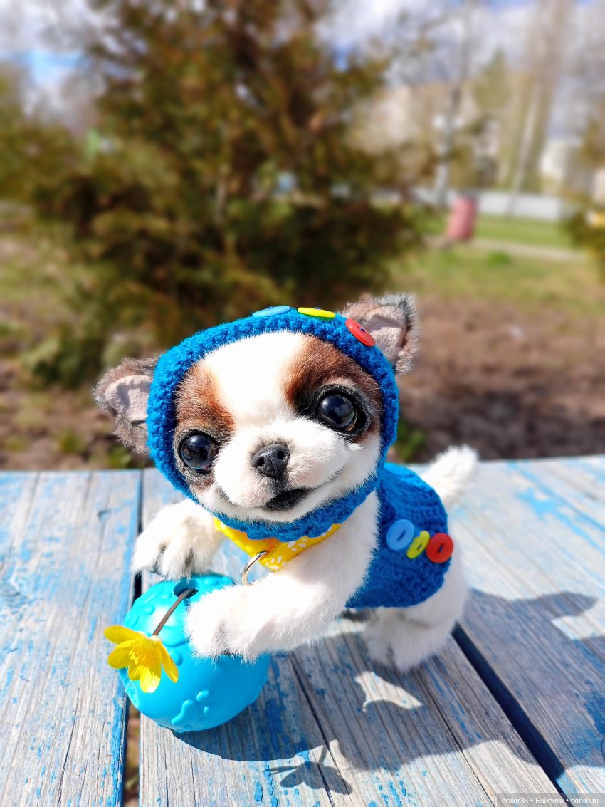 Малыш. Первая прогулка — Домашние фото авторских игрушек: Тедди (фото 8)