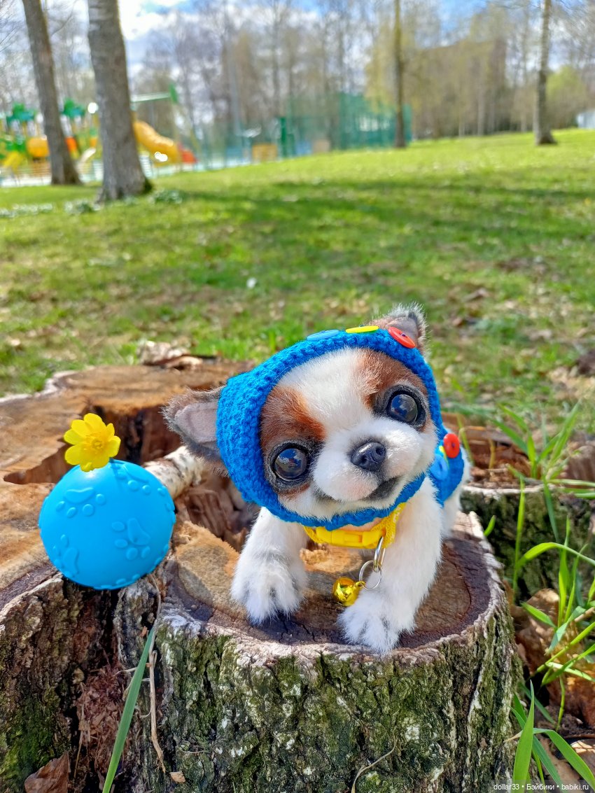 Малыш. Первая прогулка — Домашние фото авторских игрушек: Тедди (фото 9)