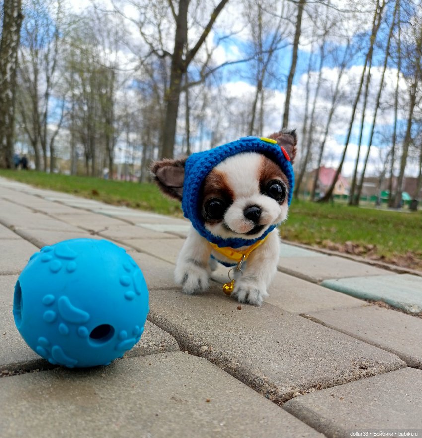 Малыш. Первая прогулка — Домашние фото авторских игрушек: Тедди (фото 2)
