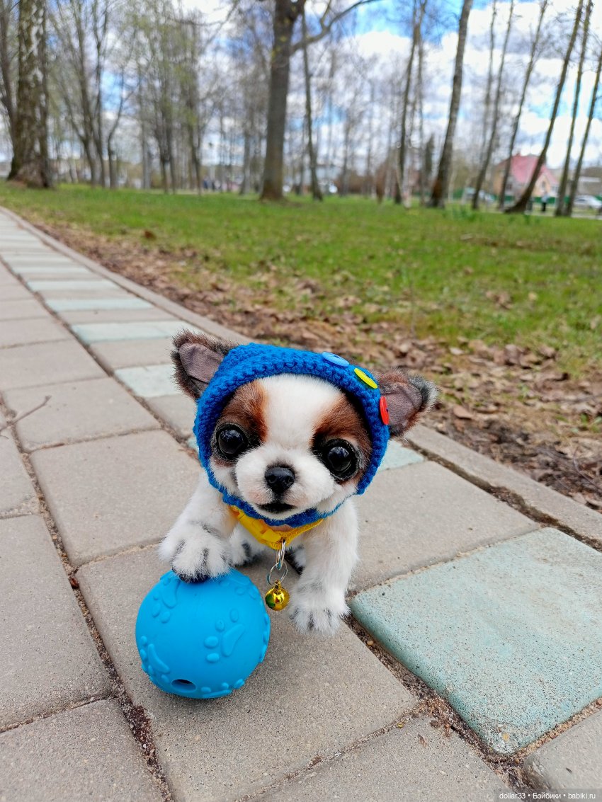 Малыш. Первая прогулка — Домашние фото авторских игрушек: Тедди (фото 3)