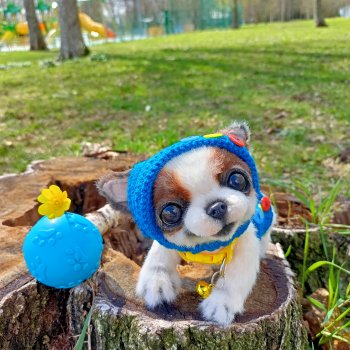 Малыш. Первая прогулка