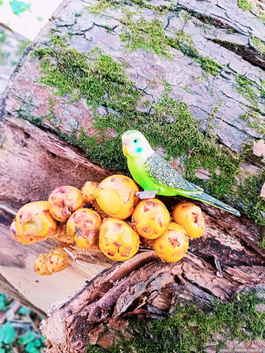 Мусенька и Ягодка. Прогулка | Бэйбики Мусенька и Ягодка. Прогулка