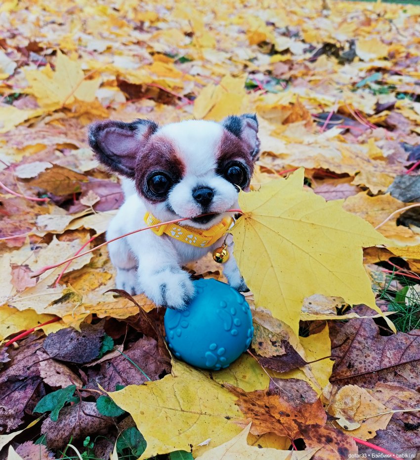 Светочка. Осень 2024 — Игровые куклы разных производителей (Разное): редкие бренды