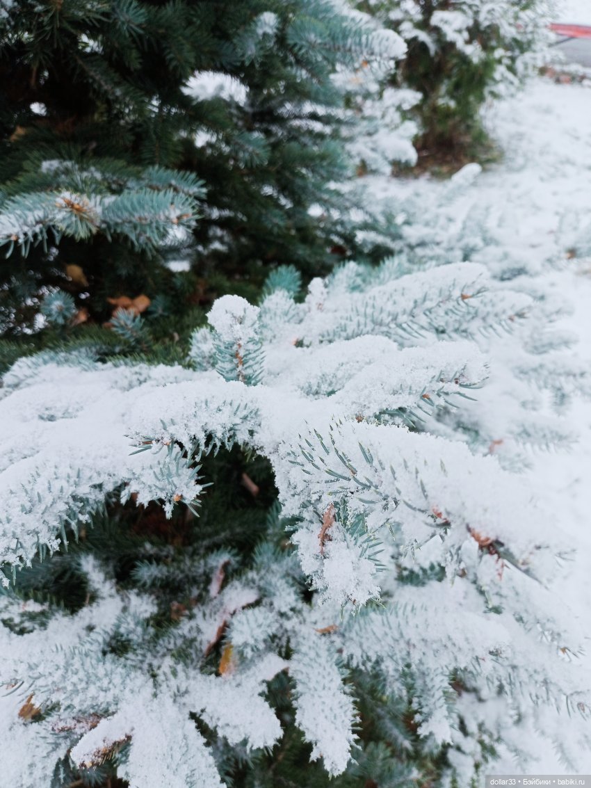 Милана - моя новенькая малышка (фото 3)