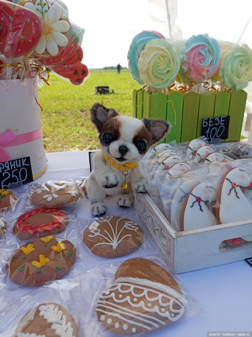 Дружок. Молодинская битва