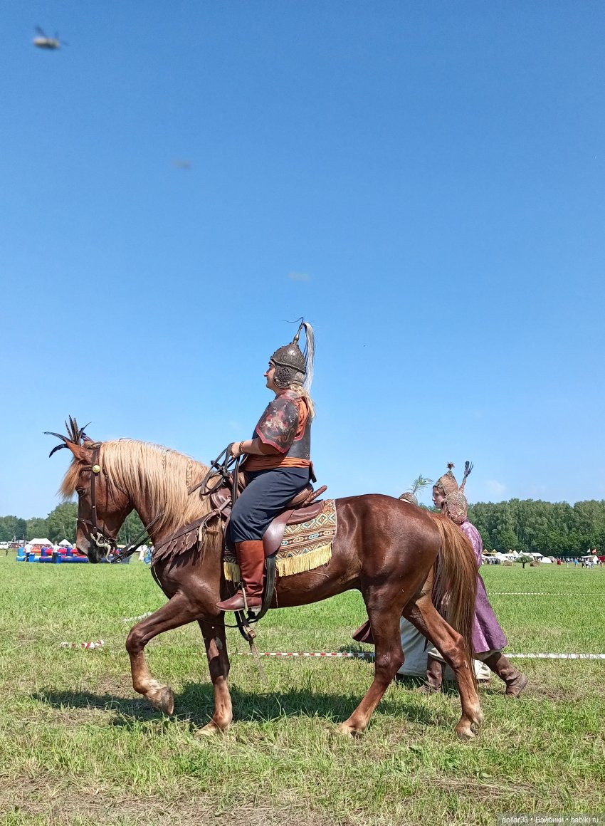 Дружок. Молодинская битва