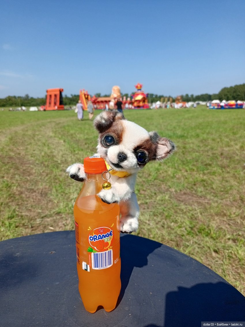 Дружок. Молодинская битва