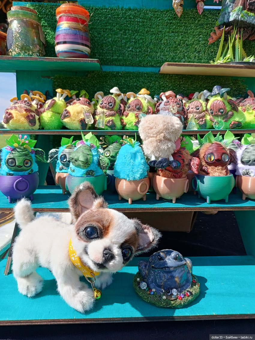 Дружок. Молодинская битва