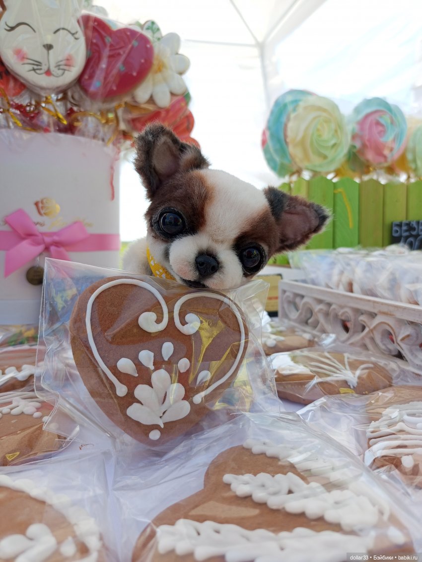 Дружок. Молодинская битва