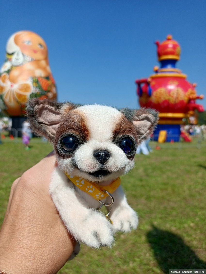 Дружок. Молодинская битва