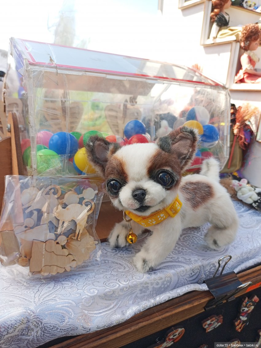 Дружок. Молодинская битва (фото 6)