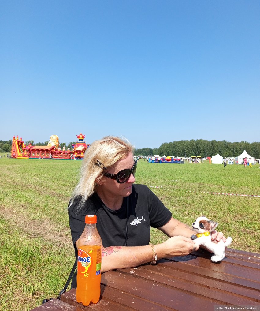 Дружок. Молодинская битва