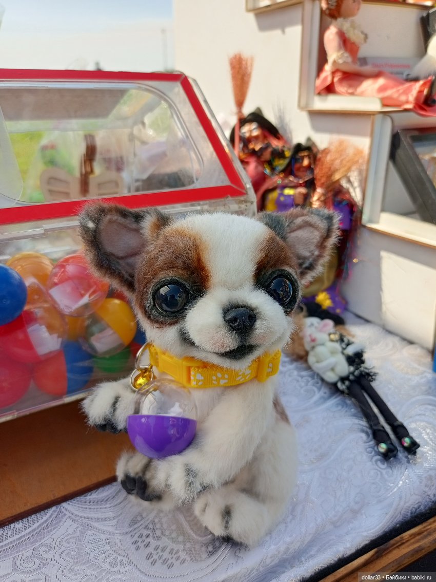 Дружок. Молодинская битва (фото 5)