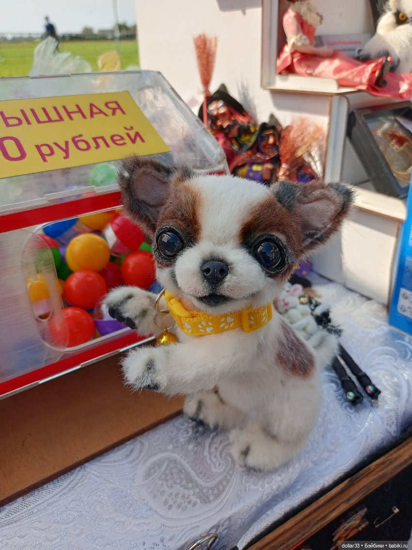 Дружок. Молодинская битва (фото 4)