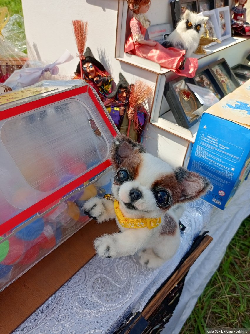 Дружок. Молодинская битва (фото 2)