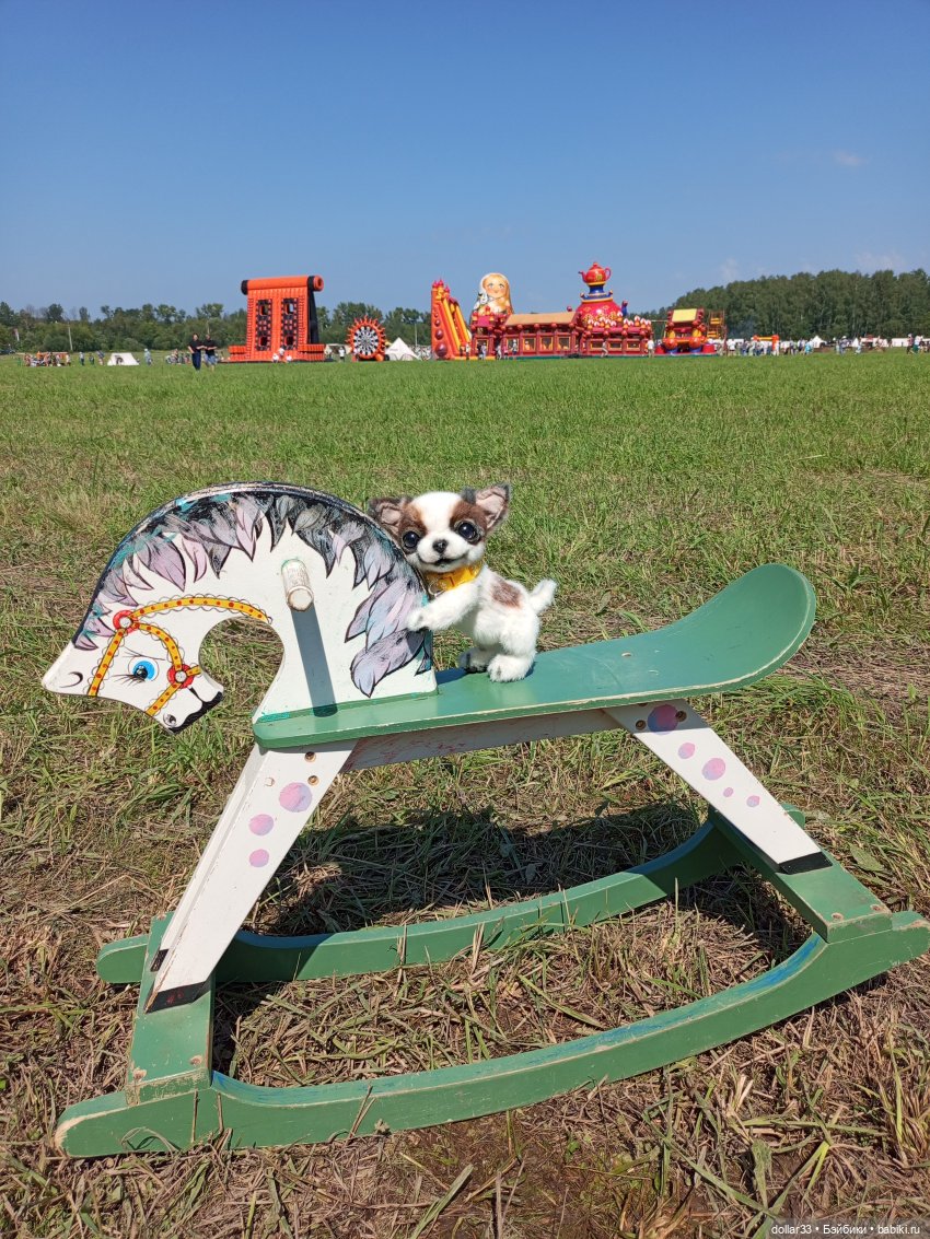 Дружок. Молодинская битва