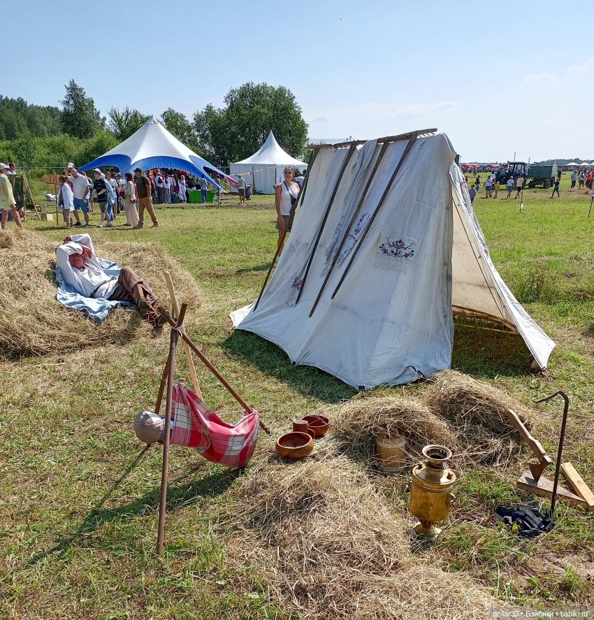 Дружок. Молодинская битва