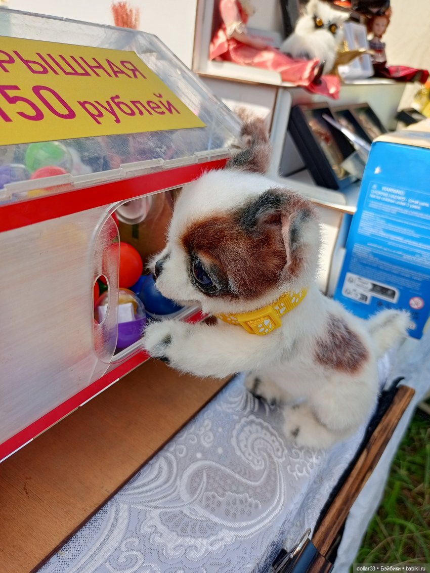 Дружок. Молодинская битва (фото 3)