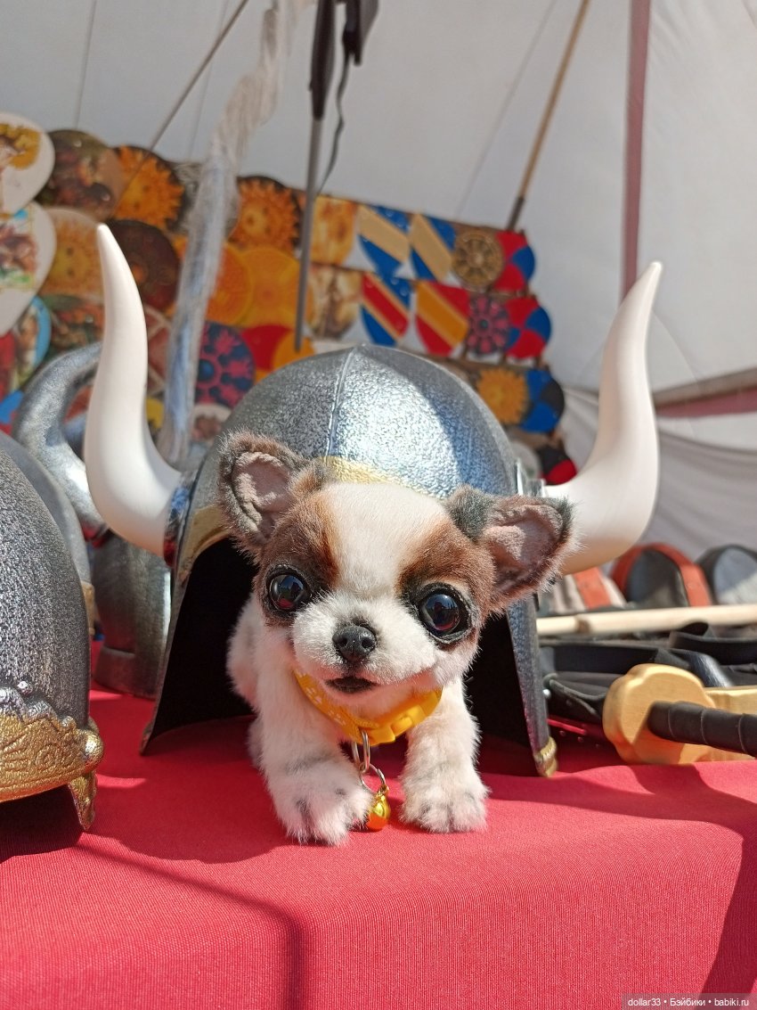 Дружок. Молодинская битва