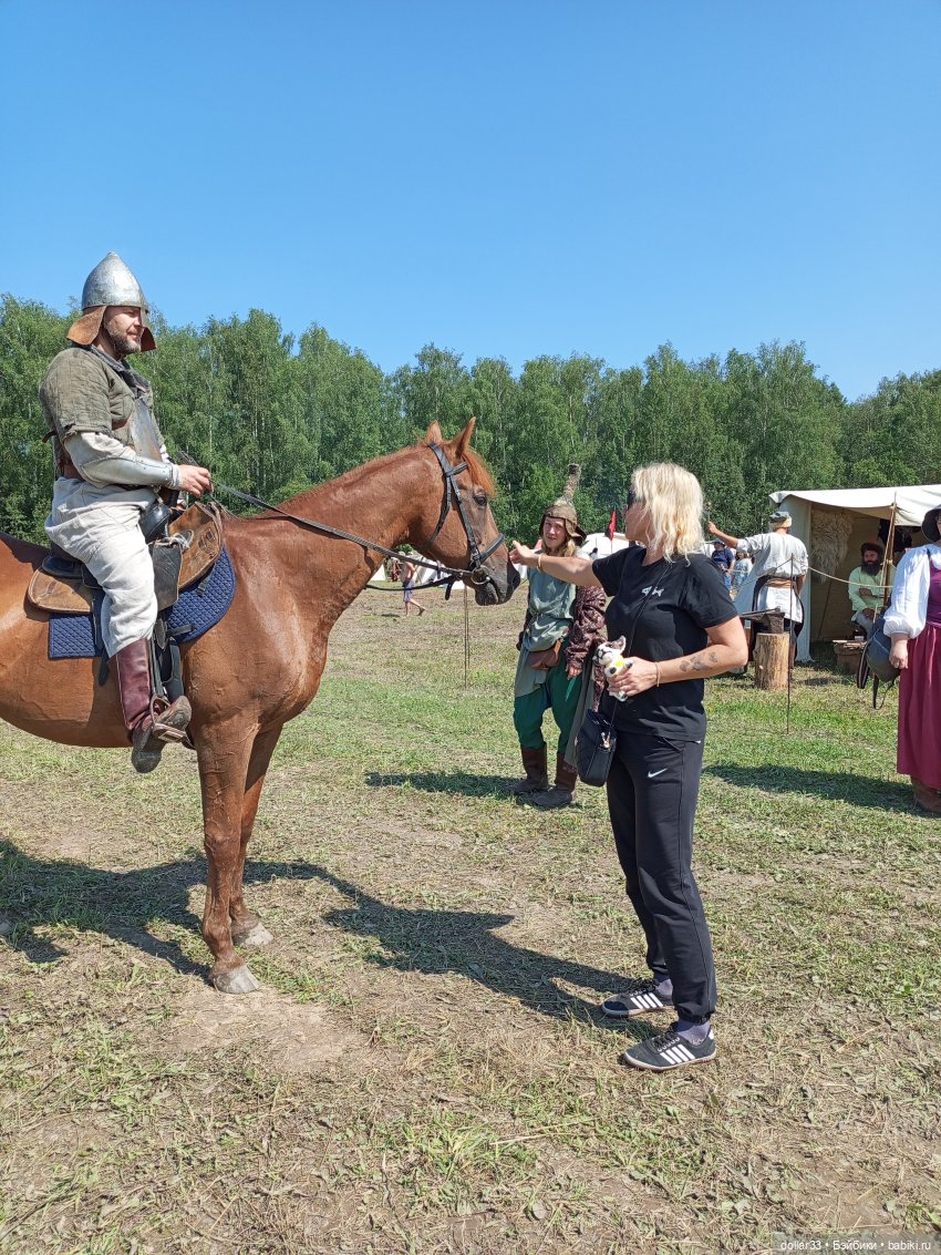 Дружок. Молодинская битва