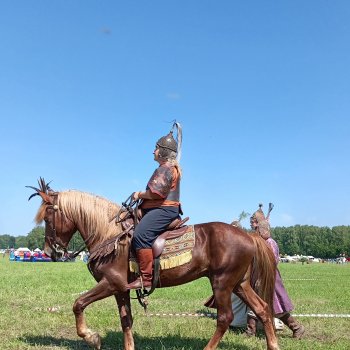 Дружок. Молодинская битва.