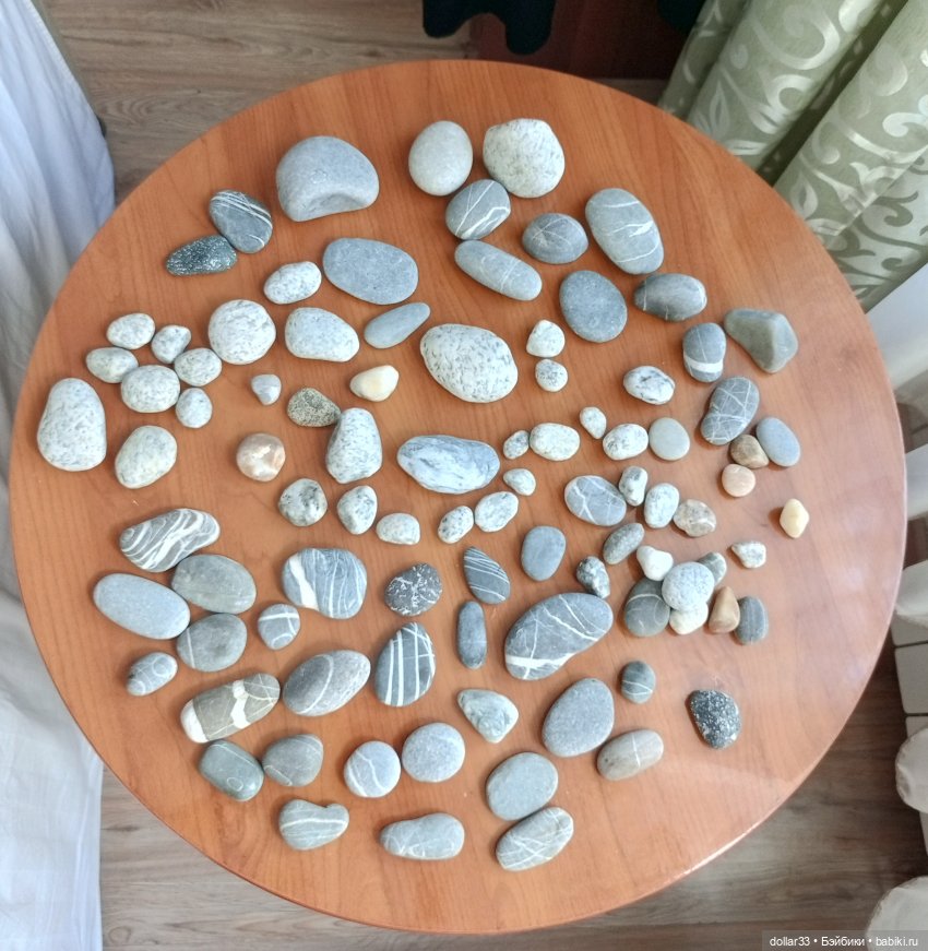 Злата на море. Дагомыс 2025