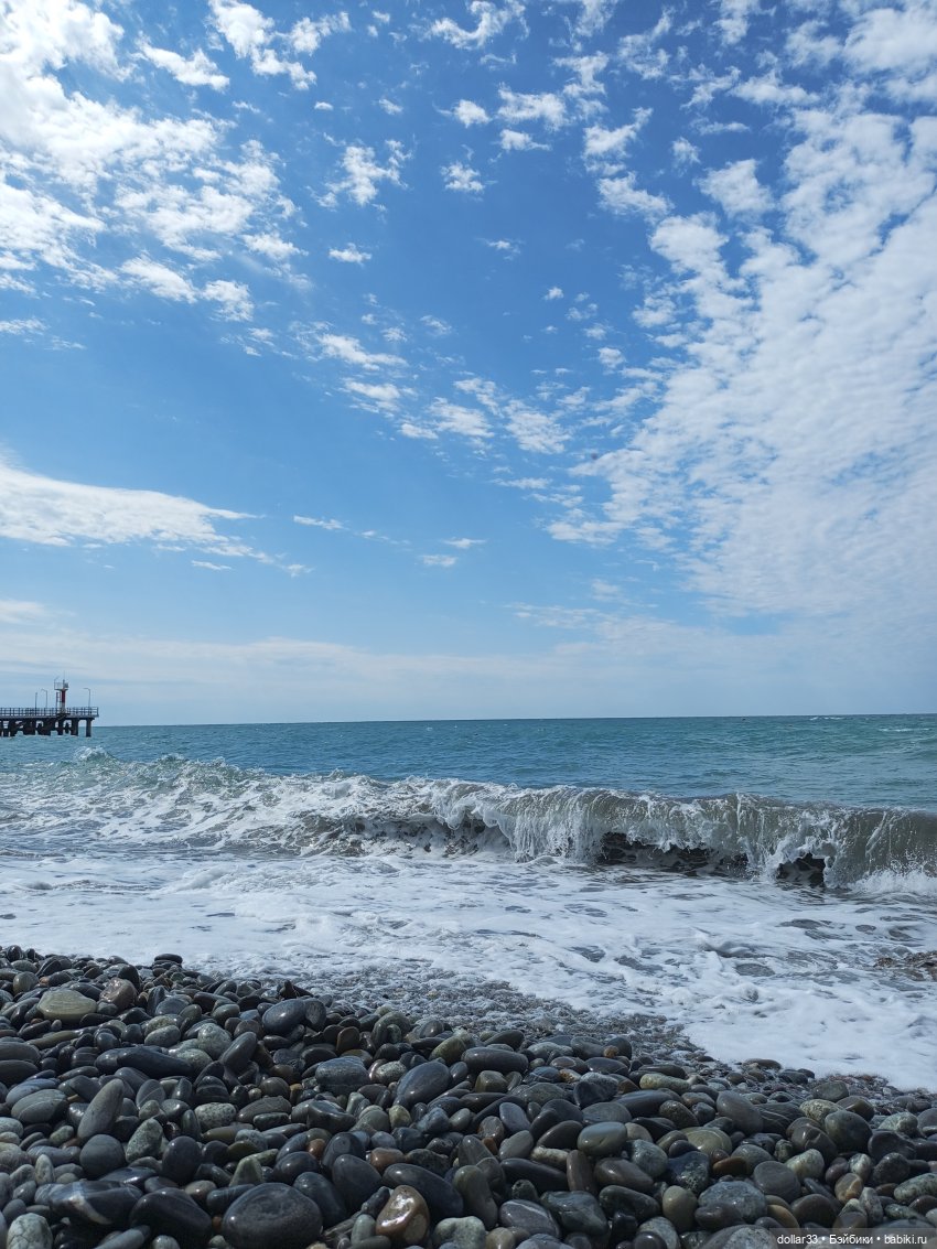 Злата на море. Дагомыс 2025