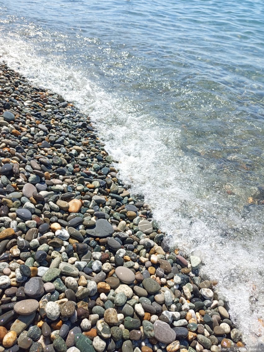 Злата на море. Дагомыс 2025