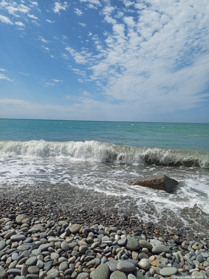 Злата на море. Дагомыс 2025