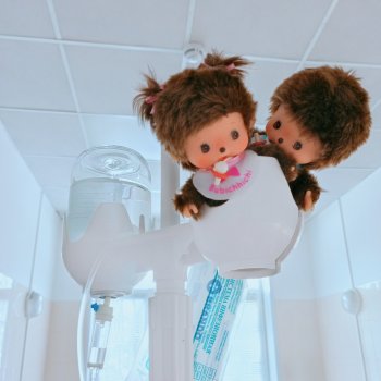 Обезьянки с больнице