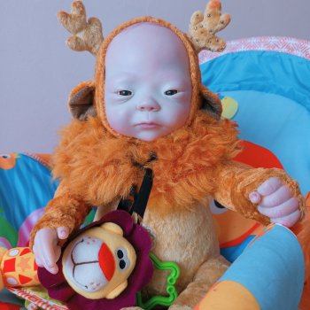 Камеко, реборн Teddydoll