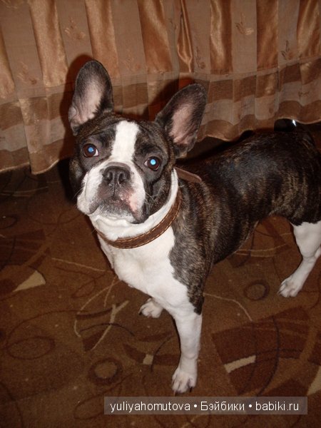 Создание нового образа. Карновальные одежки малышам