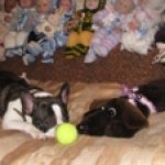 Погрустим вместе... Авторские игрушки Елены Хомутовой