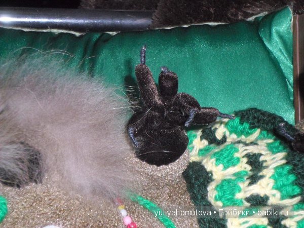 Коала. Мягкие игрушки Елены Хомутовой (фото 10)