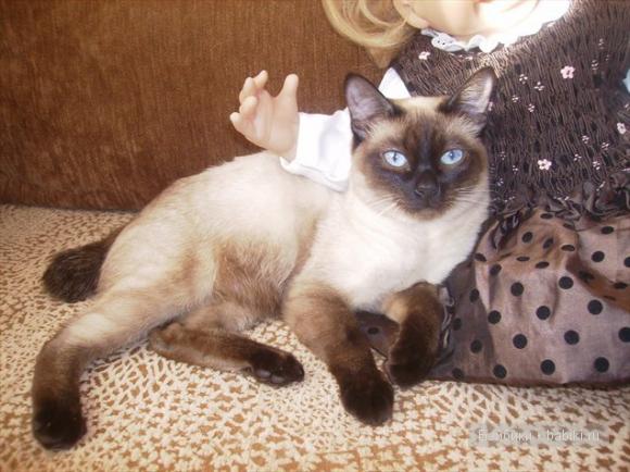 Люблю, когда утро. Я утро люблю (фото 10)