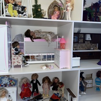 Начало положено