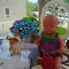 Мой маленький компаньон