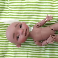 Itty Percy chocolate