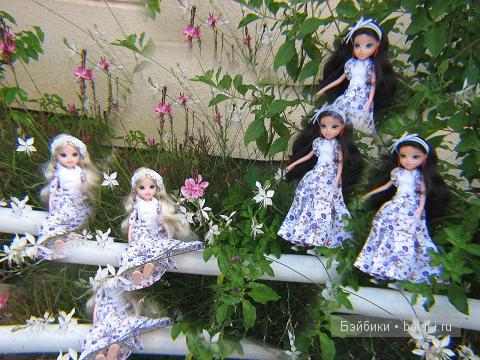 Кукольные коллекции — Домашние коллекции кукол: фото собраний