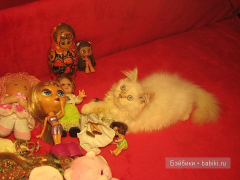 Кукольные коллекции салатик