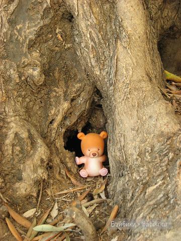 Кукольные коллекции — Домашние коллекции кукол: фото собраний