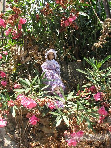 Кукольные коллекции — Домашние коллекции кукол: фото собраний