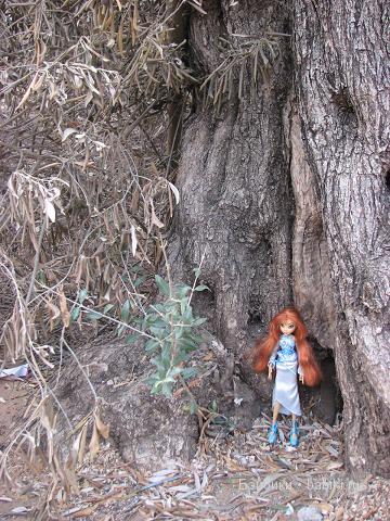 Кукольные коллекции — Домашние коллекции кукол: фото собраний