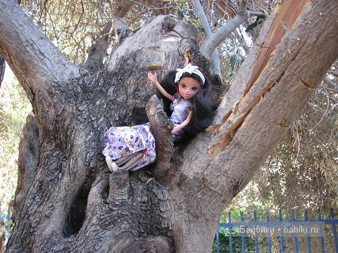 Кукольные коллекции — Домашние коллекции кукол: фото собраний