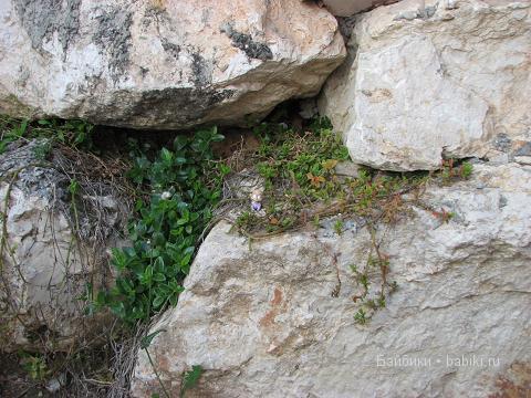 Кукольные коллекции — Домашние коллекции кукол: фото собраний (фото 4)