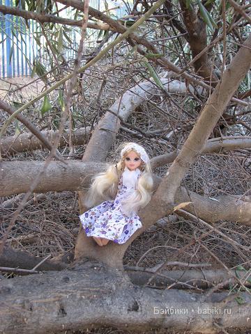 Кукольные коллекции — Домашние коллекции кукол: фото собраний